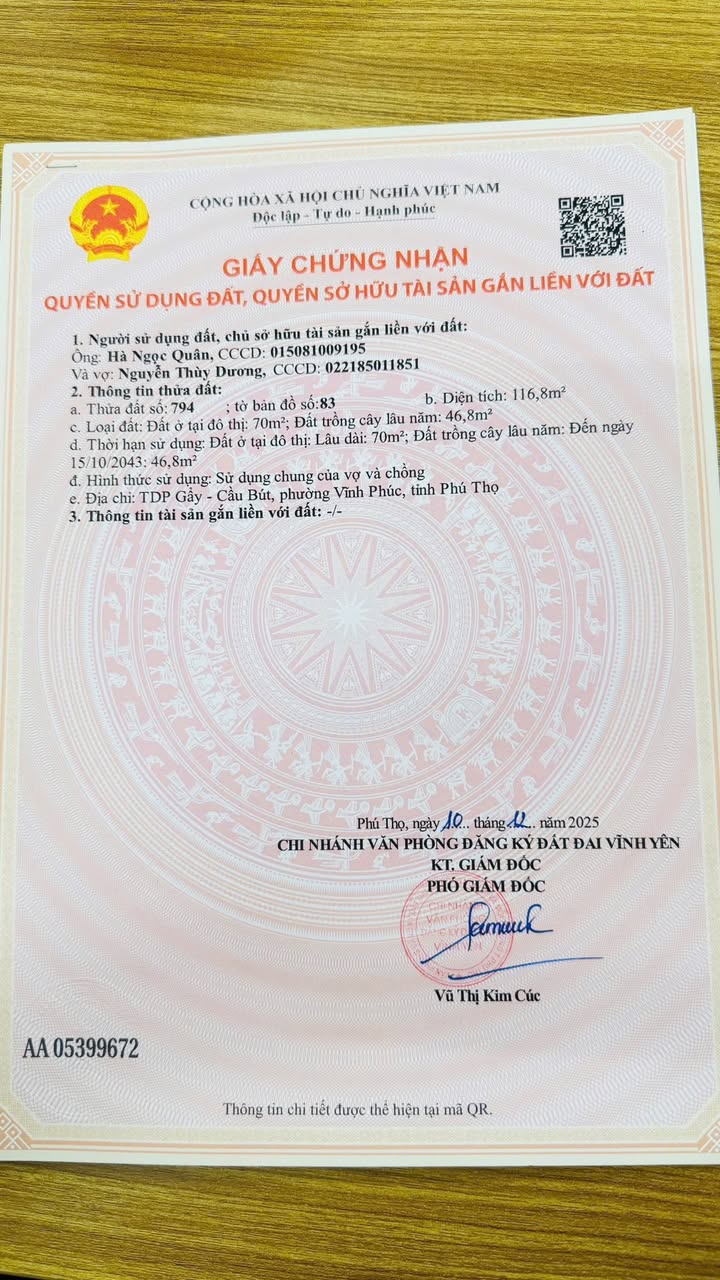 Đất thổ cư Định Trung - Vĩnh Yên 116m² giá 1,9 tỷ - Tiềm năng đầu tư lớn!