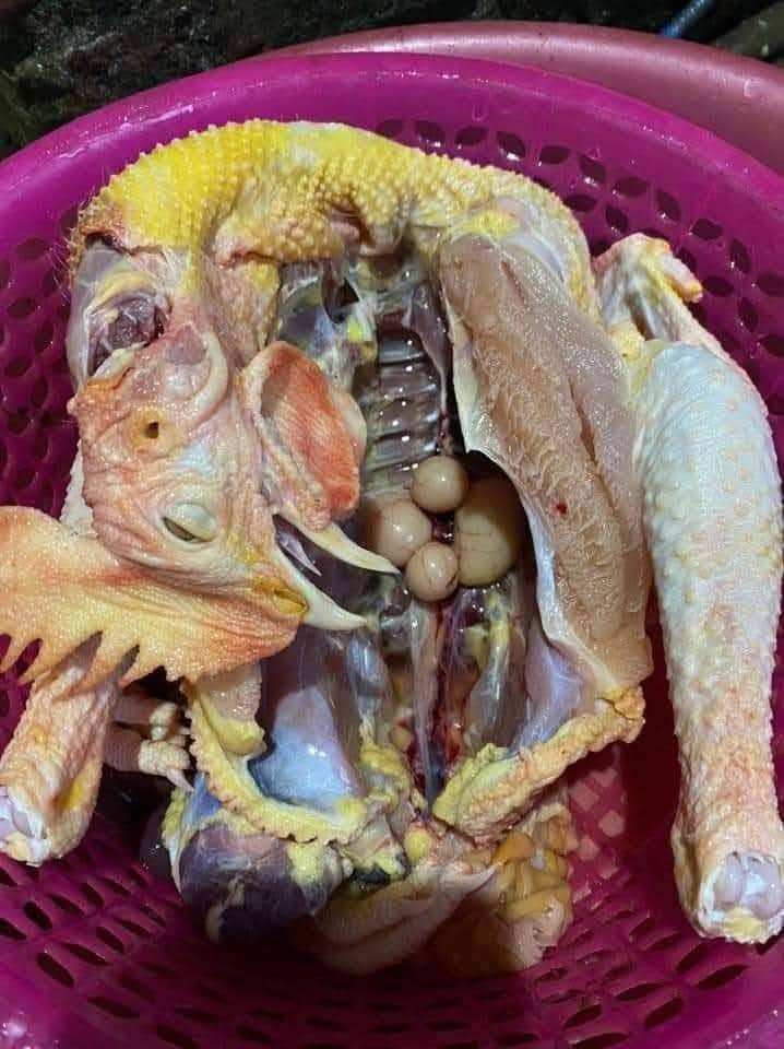 Đất nền Liên Bảo, Vĩnh Yên 99.2m² giá 2.3 tỷ - Pháp lý rõ ràng, khu dân cư văn minh!