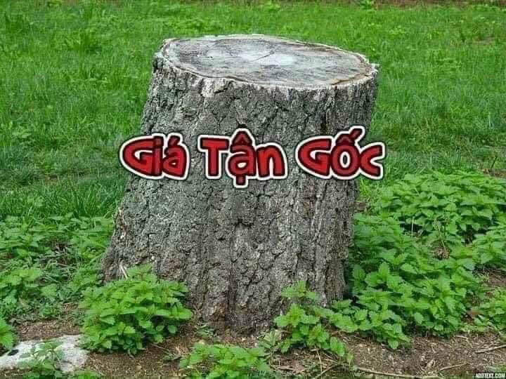 Đất nền Tân Thành Đồng Xoài 100m² giá chỉ 1.1 tỷ - Cơ hội đầu tư tuyệt vời!