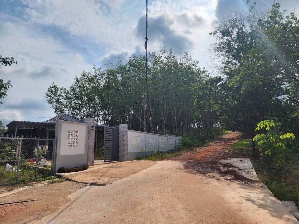 Bán đất thổ cư 1xào7 tại phường Tiến Thành - Đường Trần Hưng Đạo, giá 1.2 tỷ