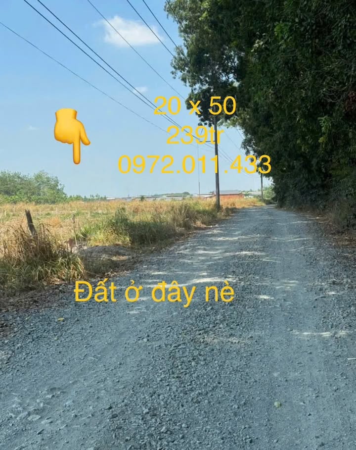 Đất nền Tân Hòa, Đồng Phú 1000m² giá 239 triệu - Pháp lý rõ ràng, sổ đỏ sẵn!