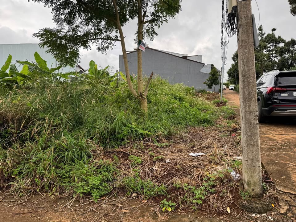 Đất mặt tiền Nguyễn Huệ, Tân Lợi, Đắk Lắk - 110m² giá 3.59 tỷ - Đầu tư sinh lời!