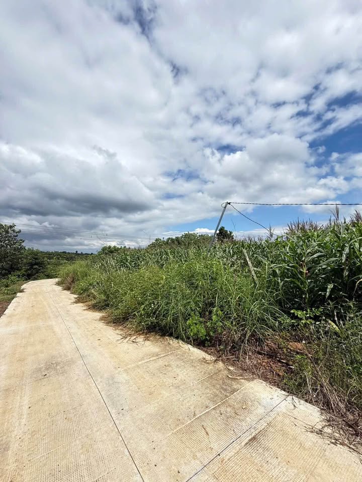 Đất sào 2000m² Phường Khánh Xuân, Buôn Ma Thuột - Giá 1.15 tỷ, Sổ đỏ chính chủ!