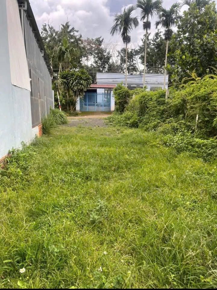 Đất nền mặt tiền đường 20A Hòa Thuận, Buôn Ma Thuột 130m² giá 1.55 tỷ - Đầu tư sinh lời ngay!