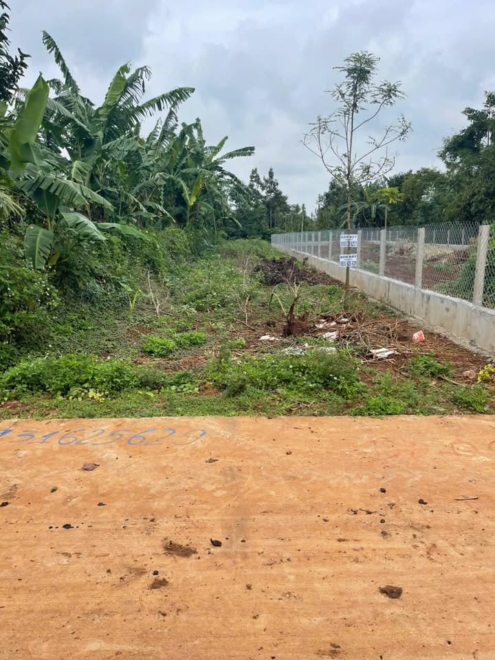 Đất thổ cư D7 Buôn Ju - Ea Tu 4029m² giá 1.85 tỷ - Đầu tư sinh lời tốt!