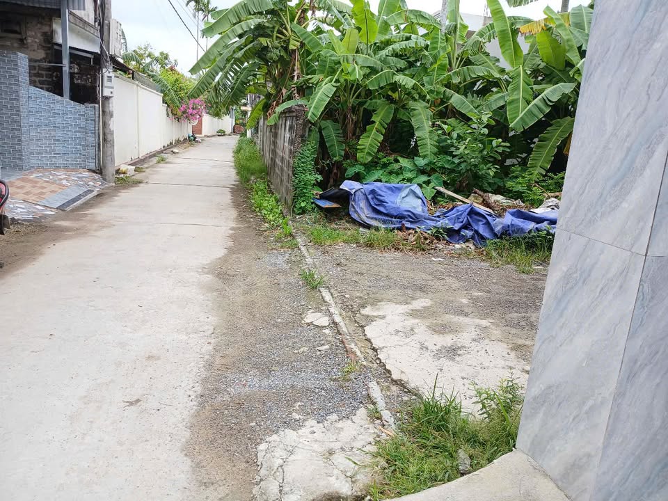 Đất 2 mặt tiền Hoa Động, Thủy Nguyên 81m² giá 1 tỷ - Vị trí đắc địa gần trung tâm!