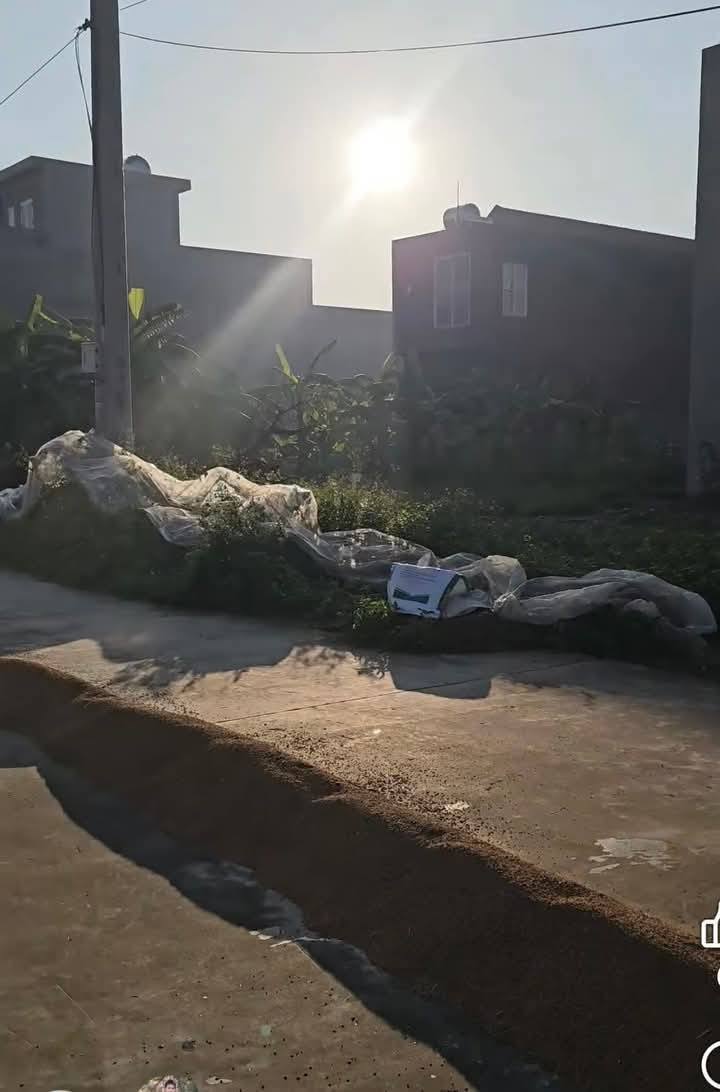 Đất giãn dân Tân Hưng, Bình Giang 97m² giá 2 tỷ - Cơ hội đầu tư lớn!