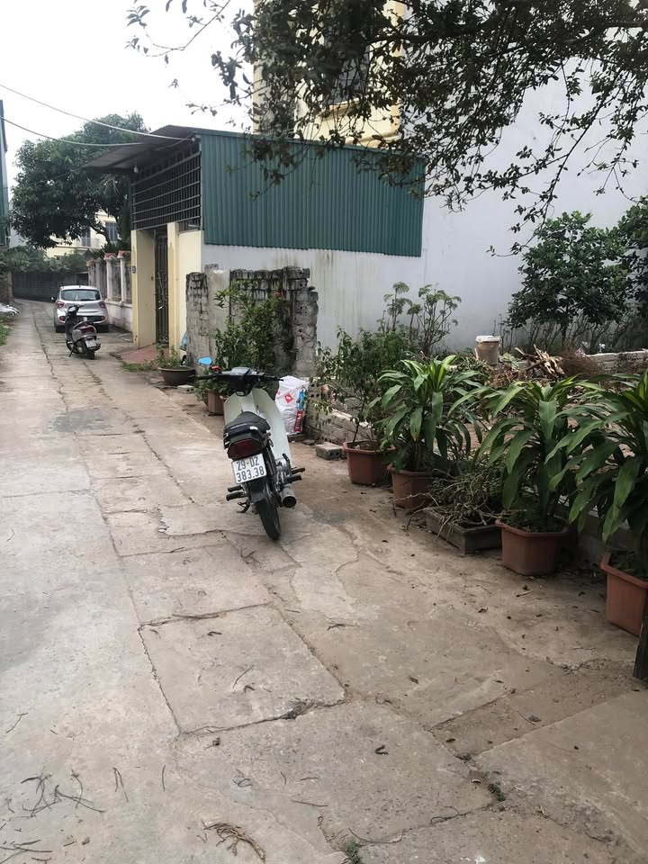 Đất nền Tự Nhiên Thường Tín 90m² giá 4.5 tỷ - Đường ô tô vào tận nơi!