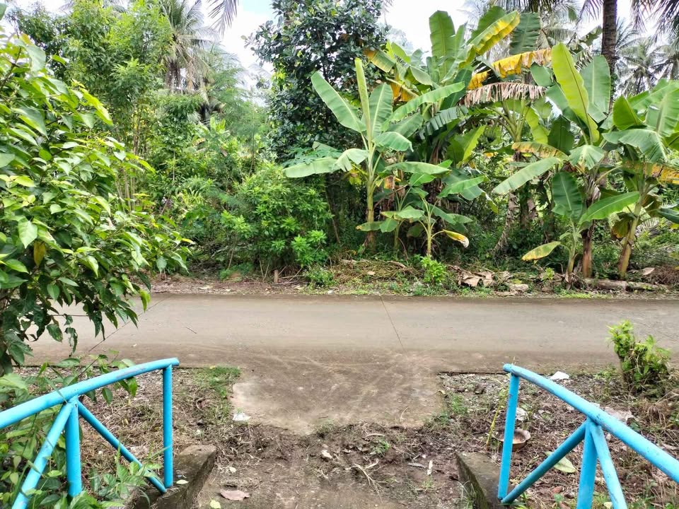 Nhà mặt tiền đường Liên xã Châu Hòa, 429m² giá 1.5 tỷ - Sẵn sàng vào ở ngay!