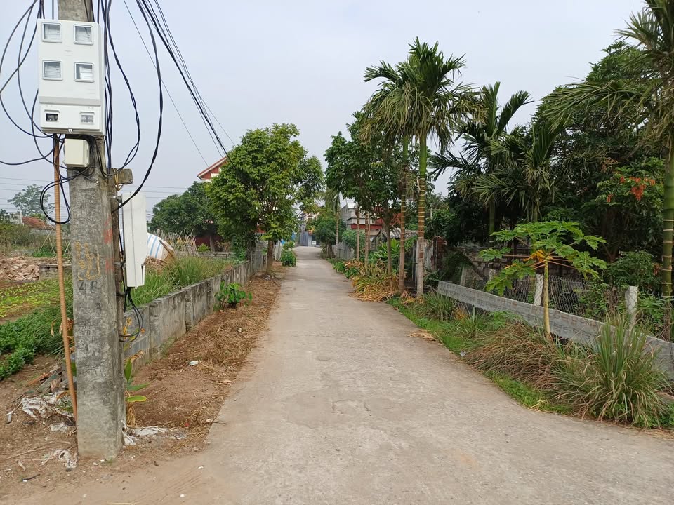 Đất thổ cư xã Rạng Đông 147m² giá thỏa thuận - Đầu tư sinh lời ngay!