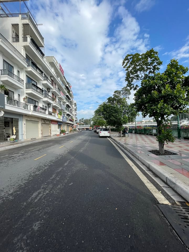 Đất mặt tiền đường Thế Lữ, quận Hồng Bàng 47m² giá chỉ 9,4 tỷ - View sông Tam Bạc tuyệt đẹp!