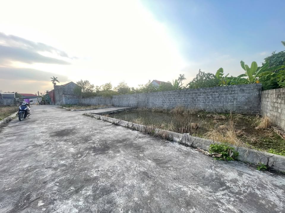 Đất nền Quang Hưng An Lão 64m² giá chỉ 500 triệu - Lô góc 2 mặt thoáng!