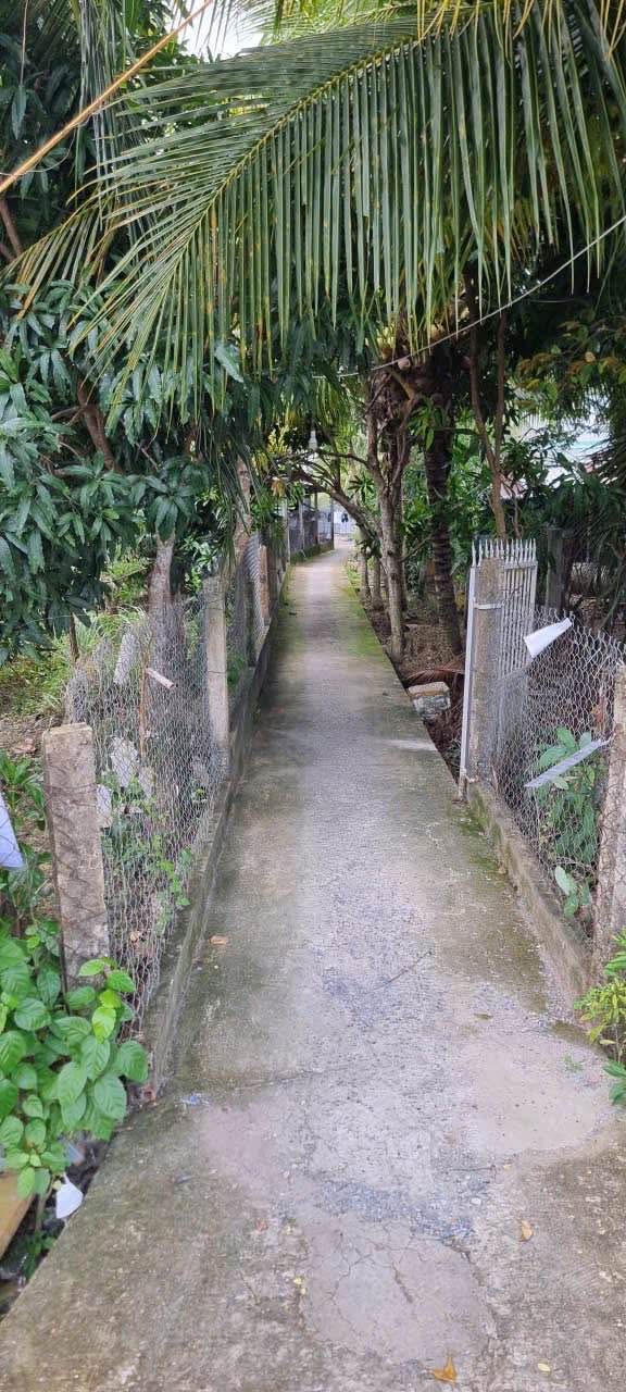 Nhà cho thuê 60m² tại Hưng Phú, Cái Răng - Giá chỉ 2.5 triệu/tháng!