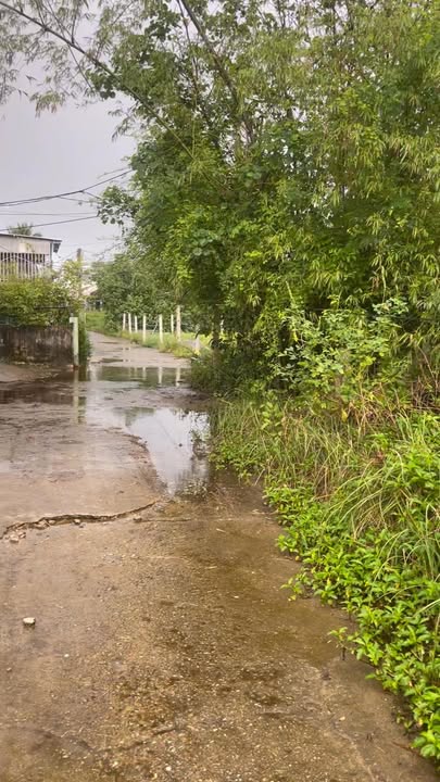 Đất trồng cây lâu năm Tam Thanh 2000m² giá 2.6 tỷ - Phù hợp chuyển mục đích