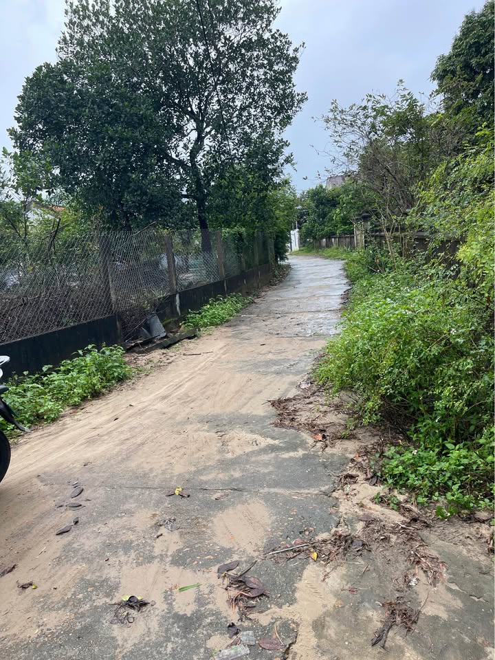 Đất nền Bình Giang 250m² giá chỉ 600 triệu - Sổ đỏ chính chủ!