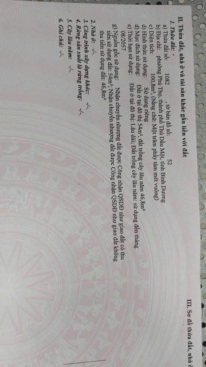Đất mặt tiền Lý Tự Trọng, Phú Thọ, 100m² giá 5 tỷ - Vị trí kinh doanh lý tưởng!