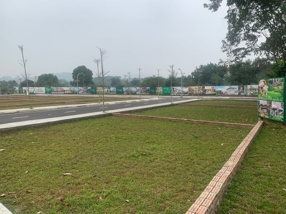 Đất chính chủ Phú Cát, Quốc Oai, Hà Nội 100m² giá chỉ 3 tỷ - Cơ hội đầu tư tuyệt vời!