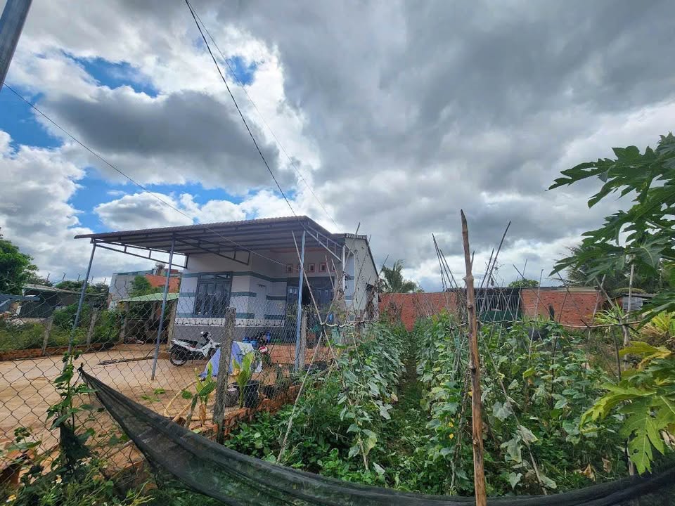 Đất thổ cư phường Ea Kao, Buôn Ma Thuột 60m² giá 1.09 tỷ - Vị trí giao thông thuận lợi!