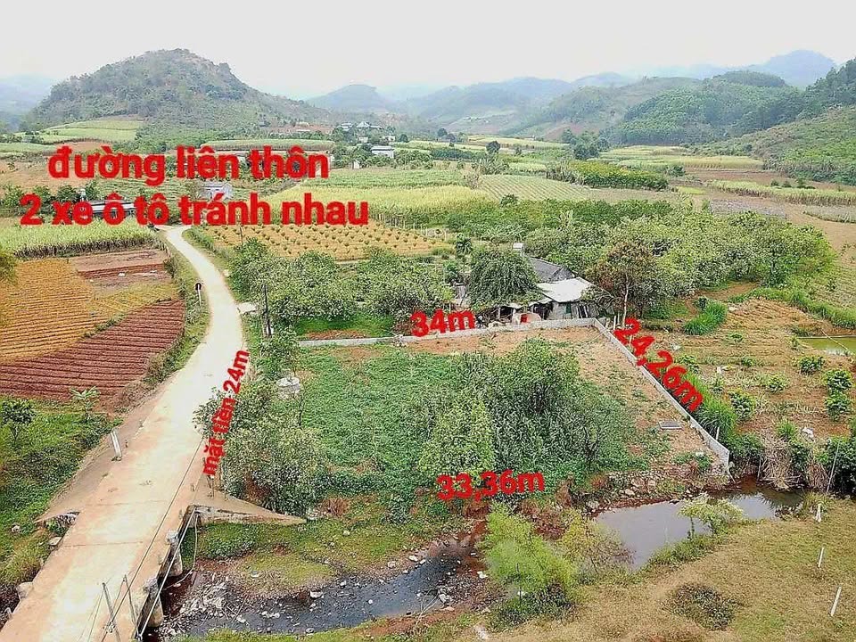 Đất farm 800m² tại Nam Phong, Cao Phong, Hòa Bình - View suối đẹp, giá thỏa thuận!