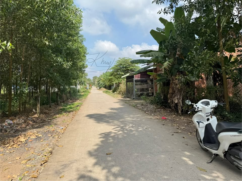 Đất thổ cư 160m² tại ấp Tân Hiệp 2, xã Phước Thái giá 2.2 tỷ - Sổ riêng chính chủ!