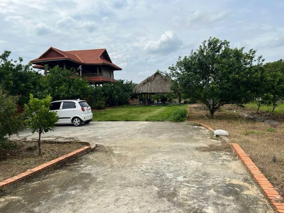 Lô đất Bạch Đằng Tân Uyên 2000m² giá 12 tỷ - Mặt tiền đường nhựa đẹp