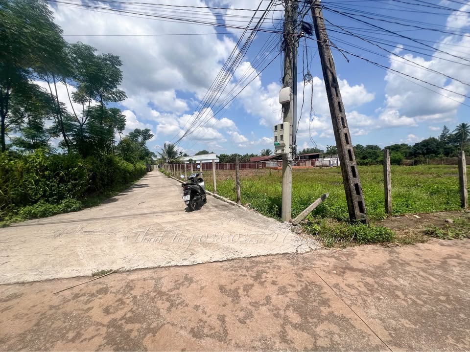 Đất nền Bàu Trâm Long Khánh 100m² giá từ 730 triệu - Cơ hội đầu tư hấp dẫn!