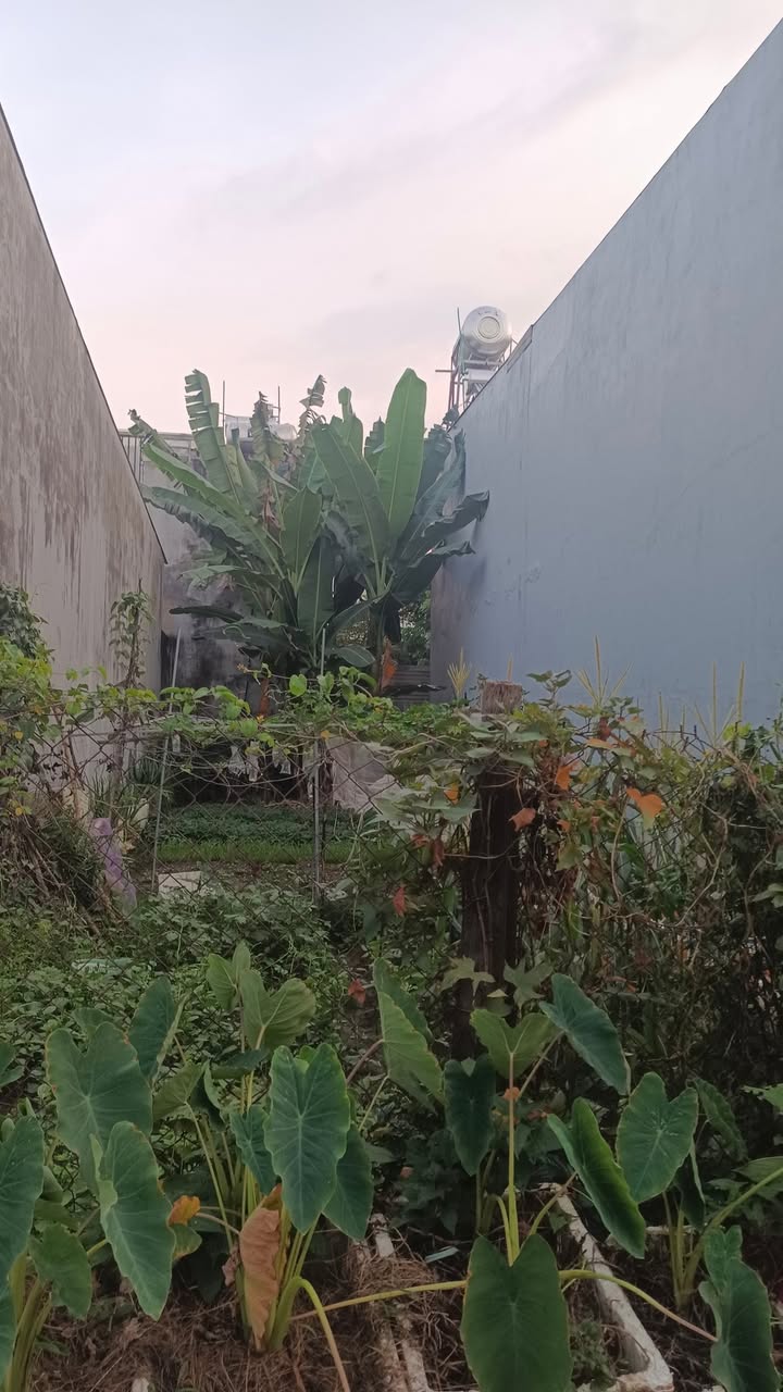 Đất nền Trảng Dài, Biên Hòa 90m² giá 800 triệu - Cơ hội đầu tư tuyệt vời!