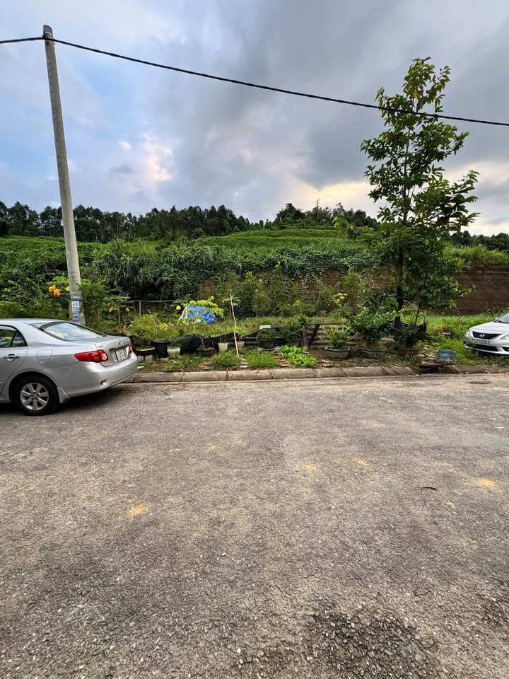 Đất nền Duyên Hải Lào Cai 100m² giá 950 triệu - Sổ đỏ chính chủ, xây dựng tự do!