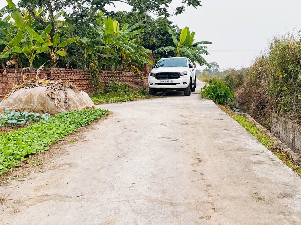 Đất nền Thôn Bà Khê, Phú Hòa, 78m² giá 1.6 tỷ - Đầu tư sinh lời ngay!