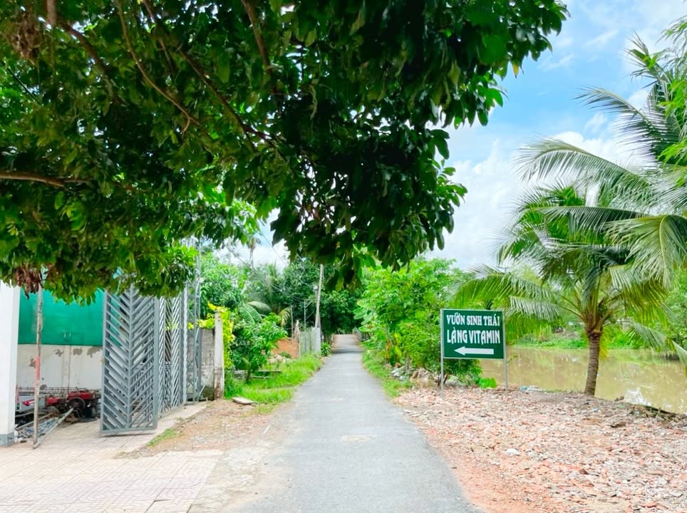 Đất nền thổ cư 144m² tại Rạch Tắc Ông Thục - Giá chỉ 800 triệu!