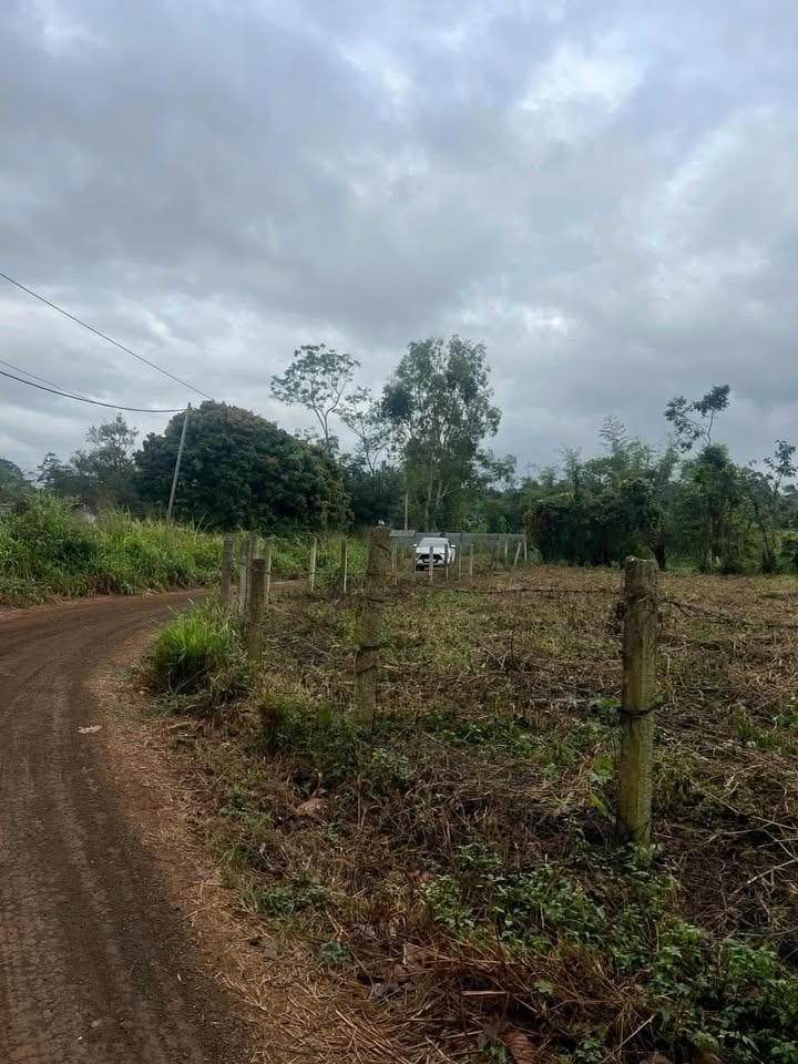 Đất thổ cư Đoàn Kết, Buôn Hồ 588m² giá 1.45 tỷ - Mặt tiền đường lớn, vị trí đẹp!