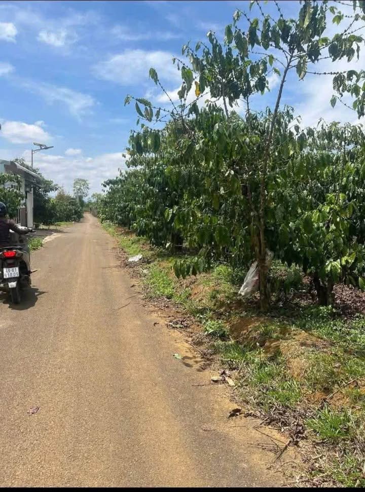 Đất nền Bảo Lộc 1m² giá 1.8 tỷ - Mặt tiền đường nhựa đẹp