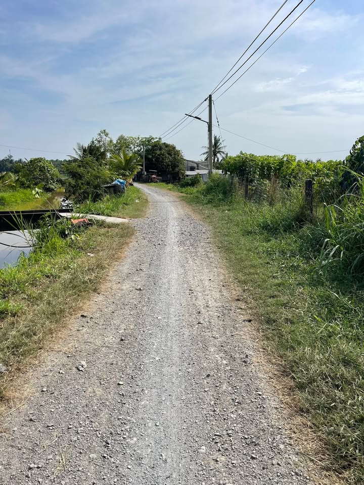 Đất thổ cư 200m² mặt đường đá xanh, xã Long Vĩnh, Gò Công Tây - Giá chỉ 1.35 tỷ, thương lượng!