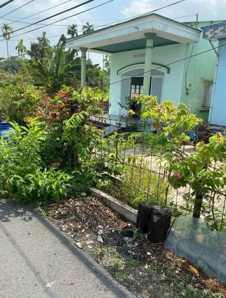 Đất nền Bình Mỹ Củ Chi 1.069m² giá 5 tỷ - Cơ hội đầu tư vàng!