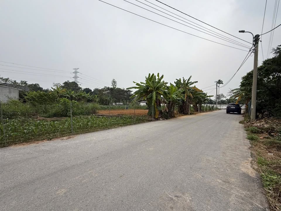 Đất thổ cư thôn Lẻ – Đạo Tú – Tam Dương 107m² giá 1 tỷ - Cơ hội đầu tư sinh lời!