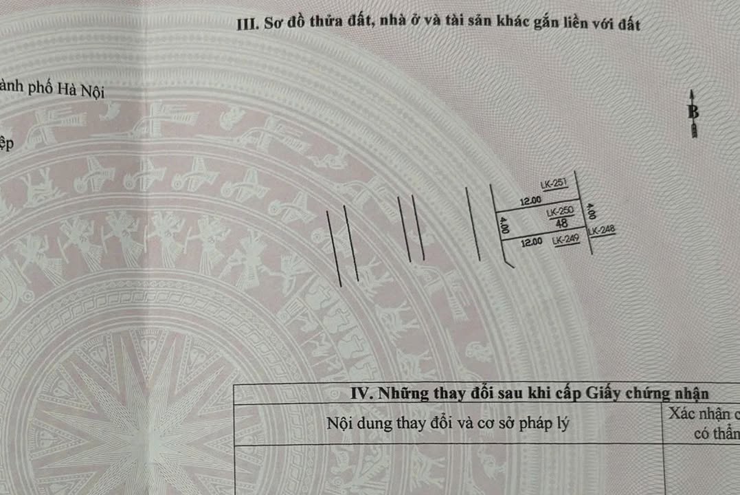 Lô đất áp góc Cây Quýt, Hà Đông 48m² giá 16,5 tỷ - Tiềm năng tăng giá cao!
