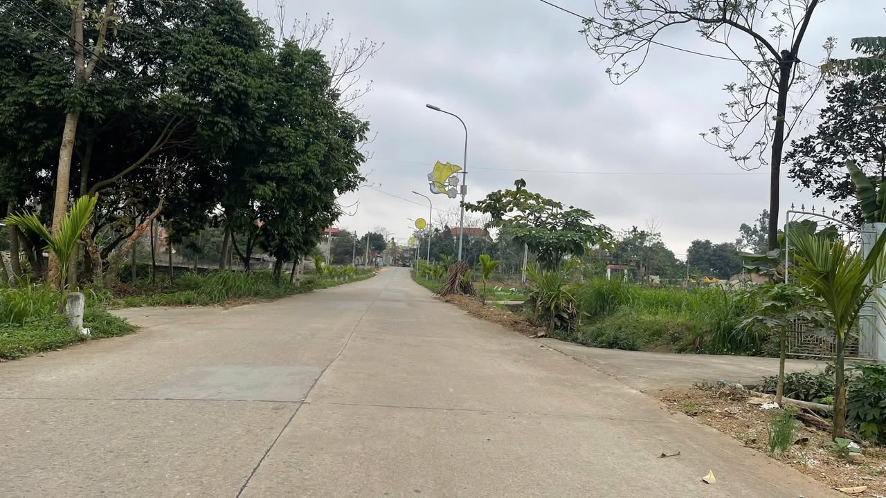 Đất nền Tam Sơn, Sông Lô, Vĩnh Phúc 100m² - Đầu tư sinh lời lý tưởng!