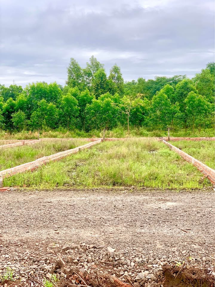 Đất nền An Viễn, Trảng Bom 130m² chỉ 789 triệu - Đầu tư an cư lý tưởng!