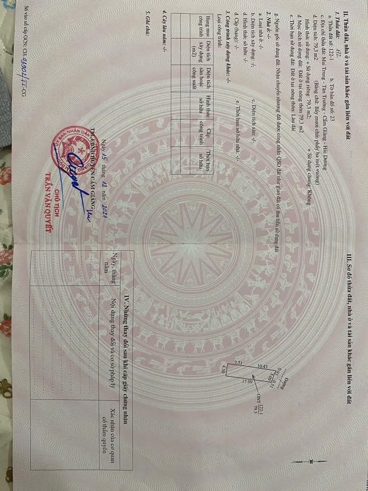 Đất nền Tân Trường, Cẩm Giàng 79m² - Mặt tiền rộng, giá tốt!