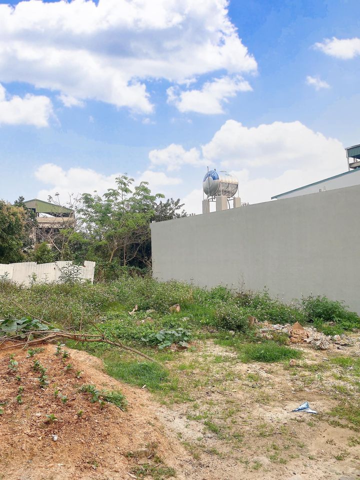 Đất nền Tân Lập, Uông Bí 100m² giá chỉ 5xx triệu - Cơ hội đầu tư hấp dẫn!