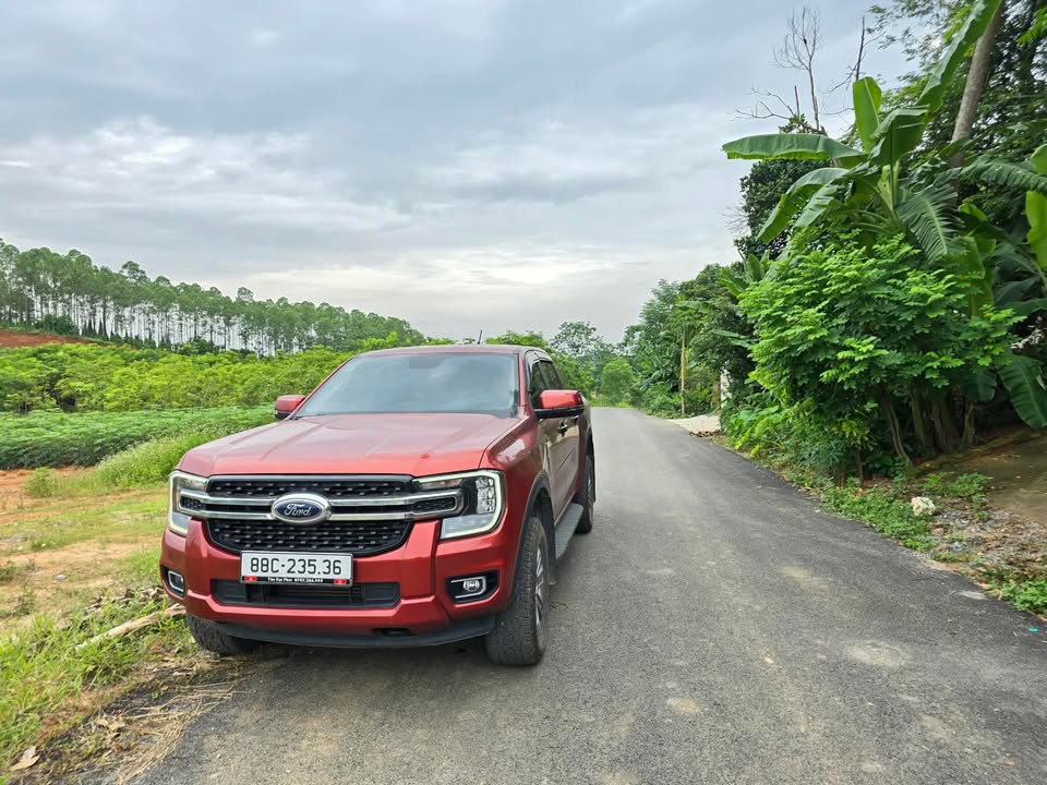 Đất mặt tiền 10m Huyện lộ 75 Tam Nông 600m² giá 1.5 tỷ - Cơ hội đầu tư tuyệt vời!