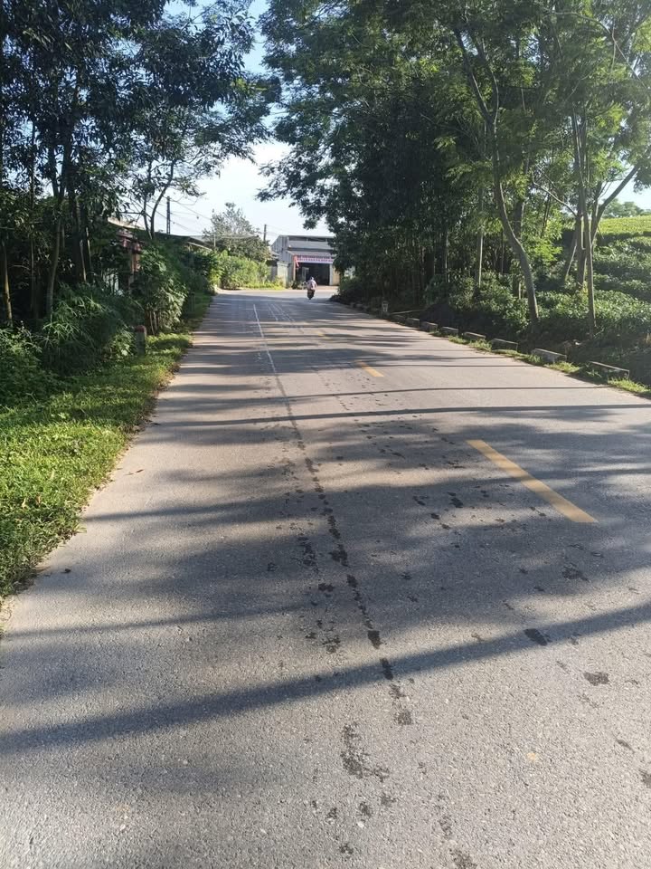 Đất nền xã Tây Cốc, Đoan Hùng 623m² - Mặt tiền 21m, giá chỉ hơn 1 tỷ!