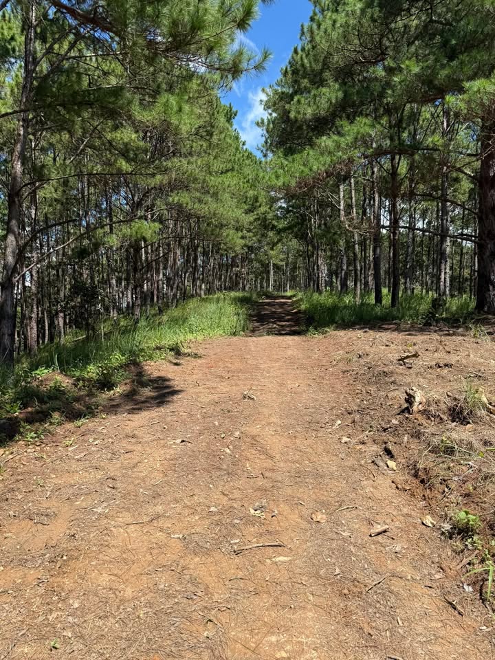 Đất nền Mê Linh Lâm Hà 1935m² - Vị trí tiềm năng, giá thỏa thuận!