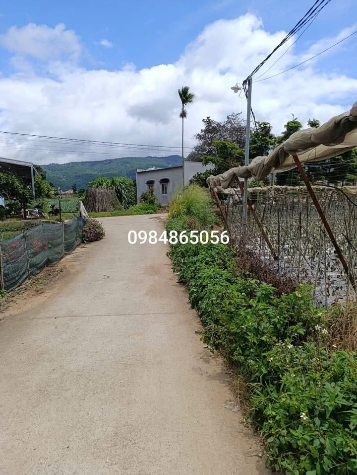 Đất nền xã Đơn Dương 533m² giá 2.1 tỷ - Pháp lý rõ ràng, sẵn sàng công chứng!