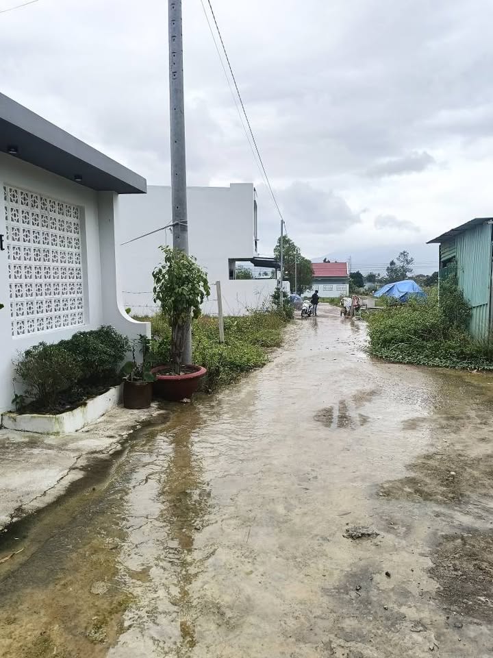 Đất thổ cư Diên An 149m² giá 1.192 tỷ - Cơ hội đầu tư tuyệt vời!