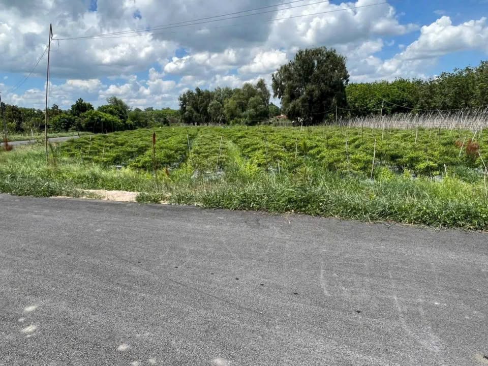 Đất nền An Nhơn Tây 18.292m² giá 34.75 tỷ - Cơ hội đầu tư tuyệt vời!