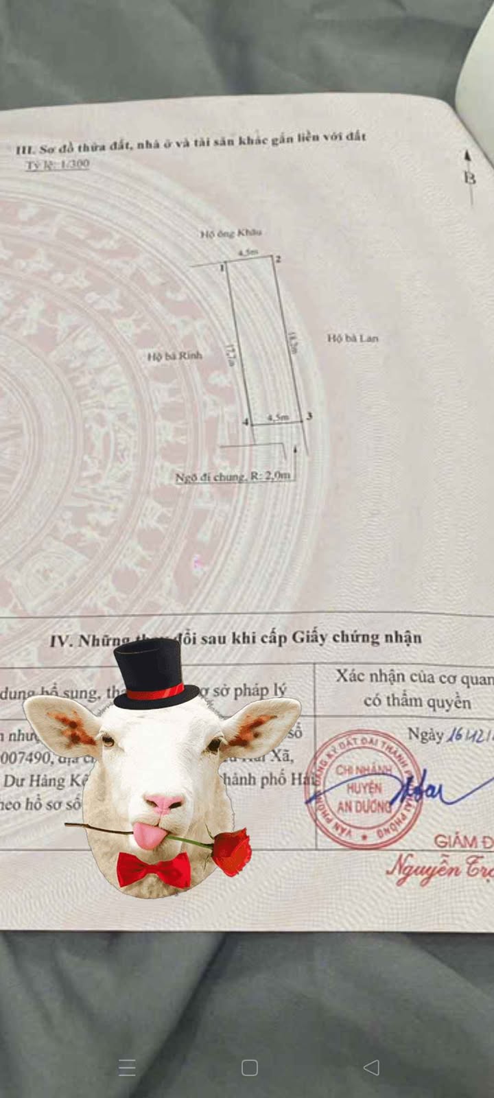 Đất nền Đồng Thái, An Dương 82m² giá 1.476 tỷ - Cơ hội đầu tư tuyệt vời!