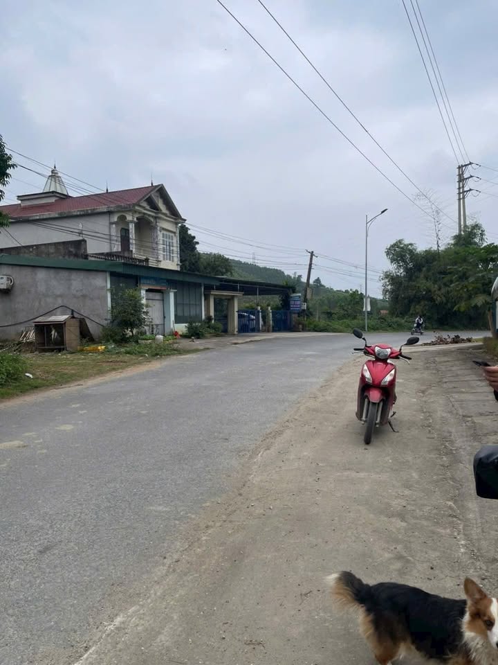 Đất thổ cư Võ Miếu, Thanh Sơn 1300m² giá 2 tỷ - Sẵn sàng xây dựng ngay!