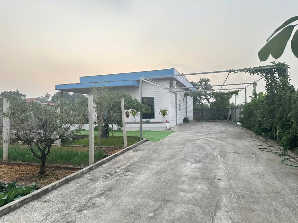 Đất vườn Đào Xá 720m² giá thỏa thuận - Sẵn nhà ở ngay, full nội thất!