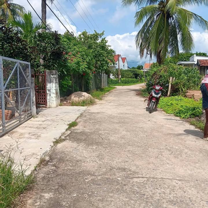 Đất thổ cư Ninh Thân, Ninh Hòa 1200m² chỉ 2.64 tỷ - Cơ hội đầu tư hấp dẫn!